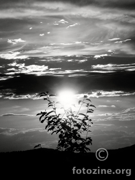 Transition