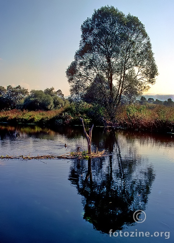 Refleksija