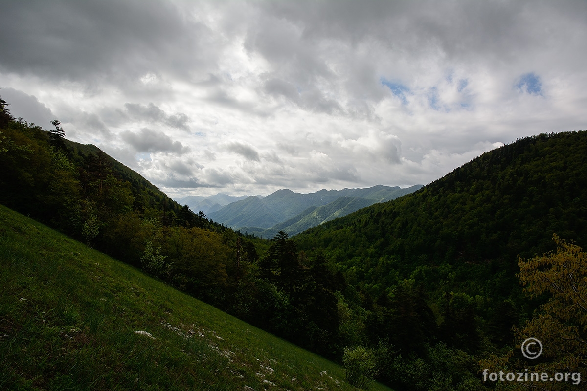 Zeleni Vlebit 2