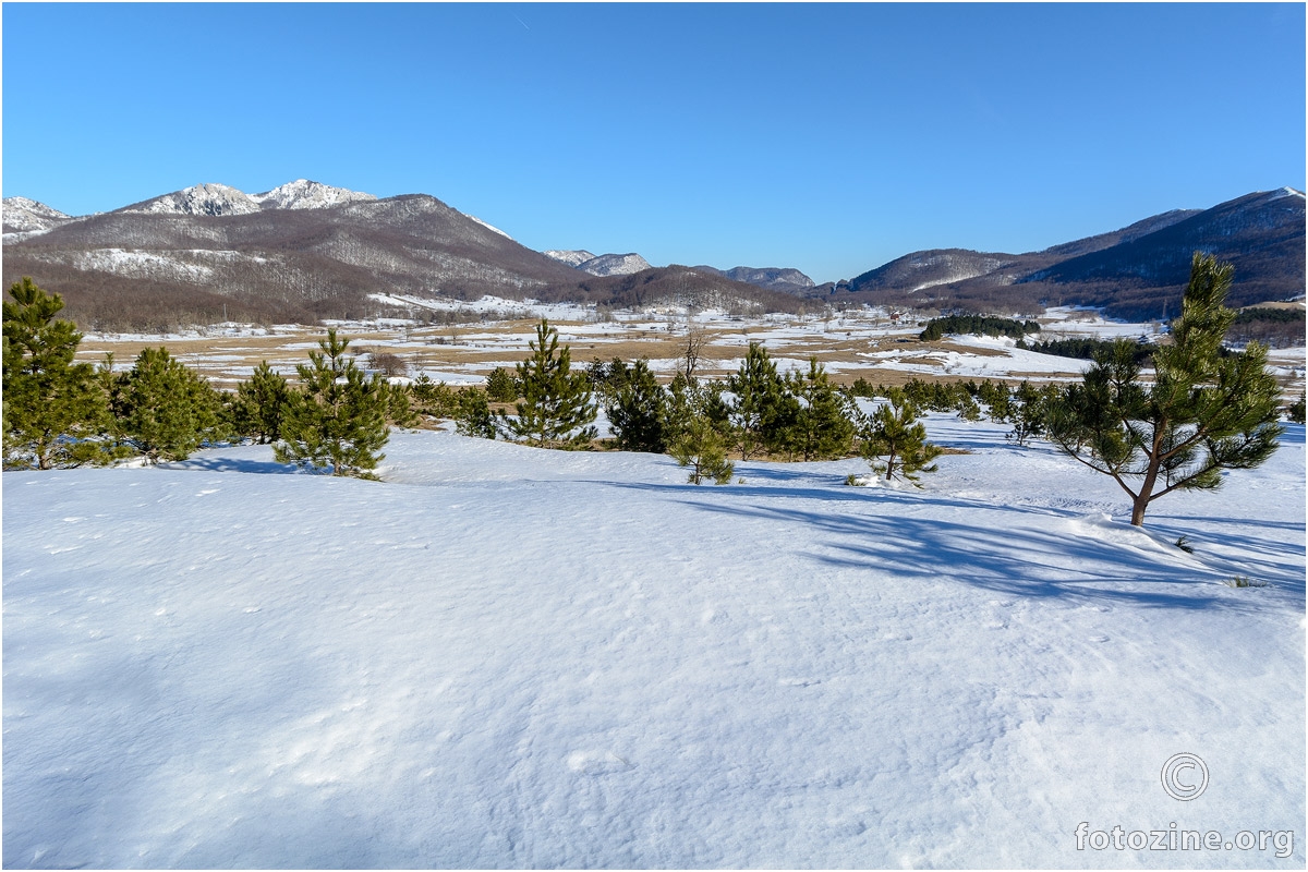 Oštarijsko polje