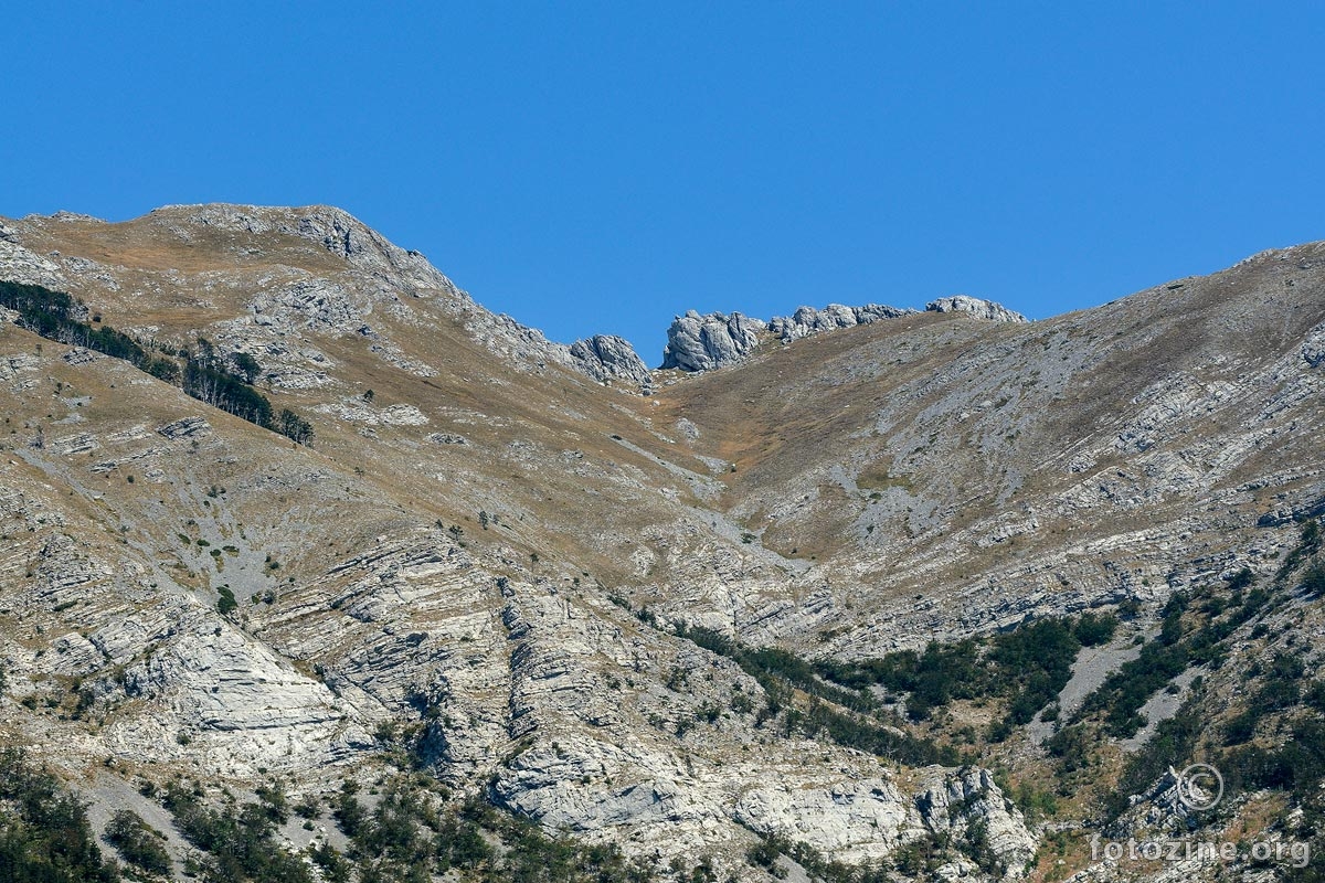 Tražeći vipeovu družinu...