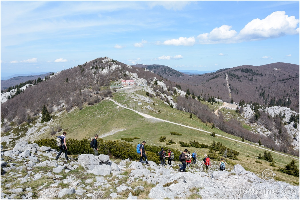 Zavižan