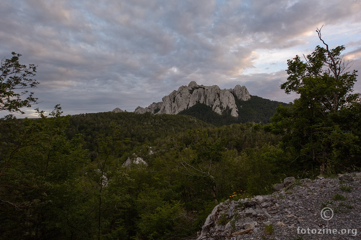 Bačić kuk u sumrak