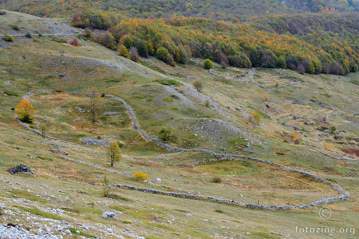 Velebitski kamenopis 2