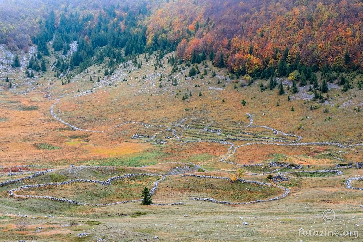 Velebitski kamenopis