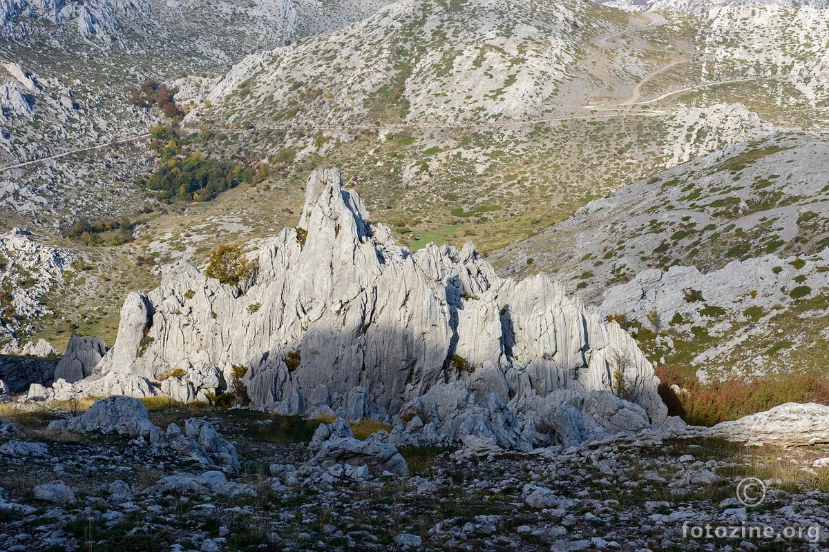 Katedrala