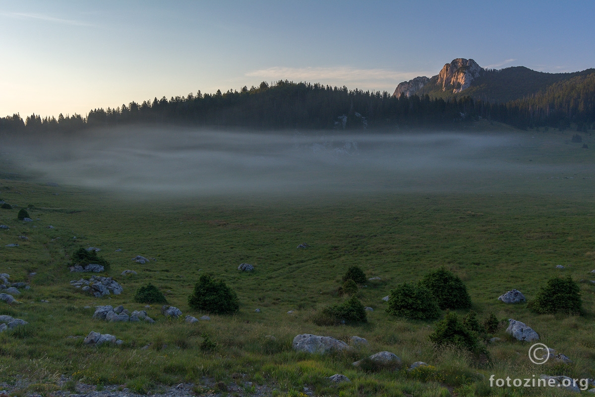Jutarnja maglica