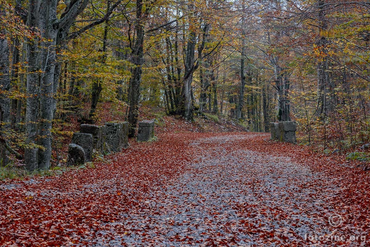 Majstorska cesta