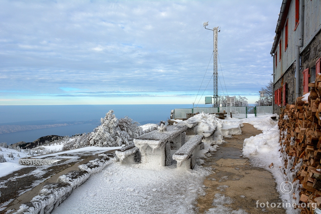 Smrznuti pogled