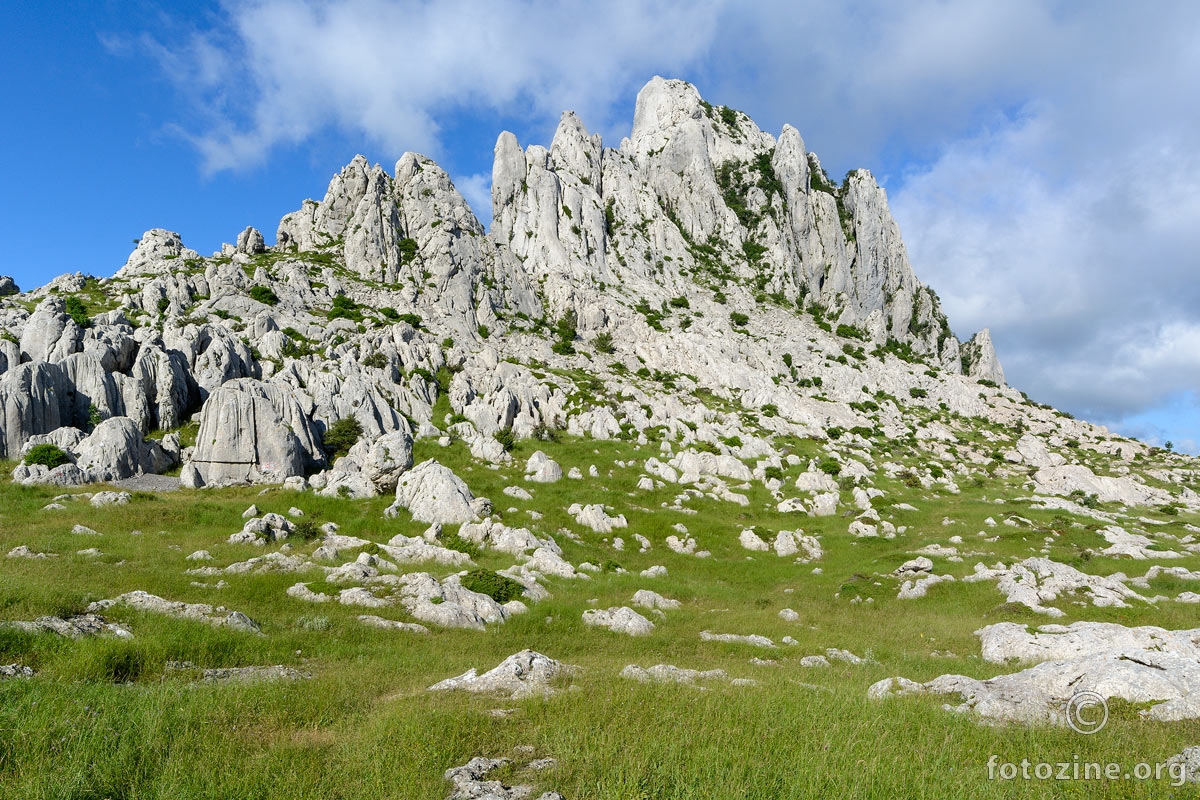 Proljetni štih prethodne fotografije