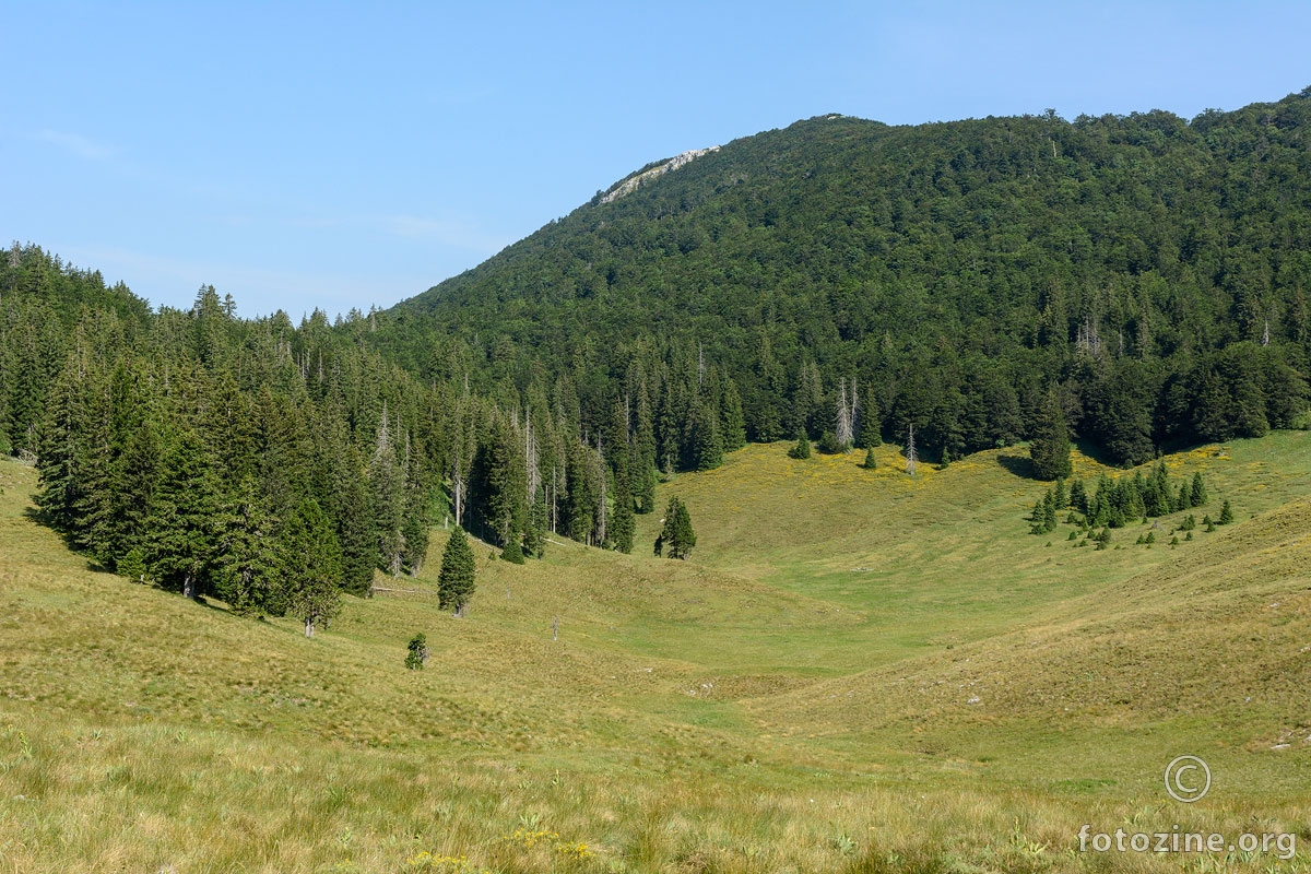 Dundović padež