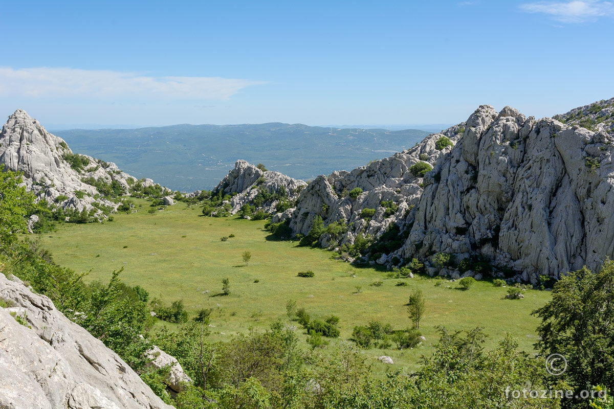 Zelena dolina