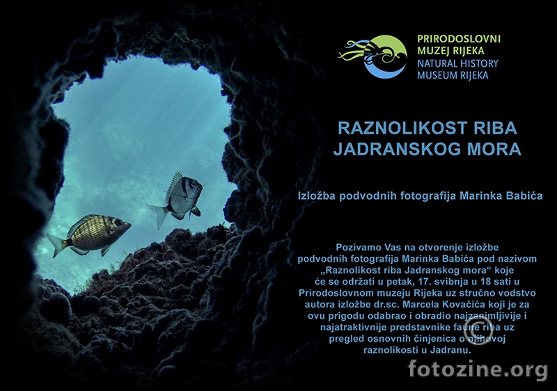 Raznolikost riba Jadranskog mora