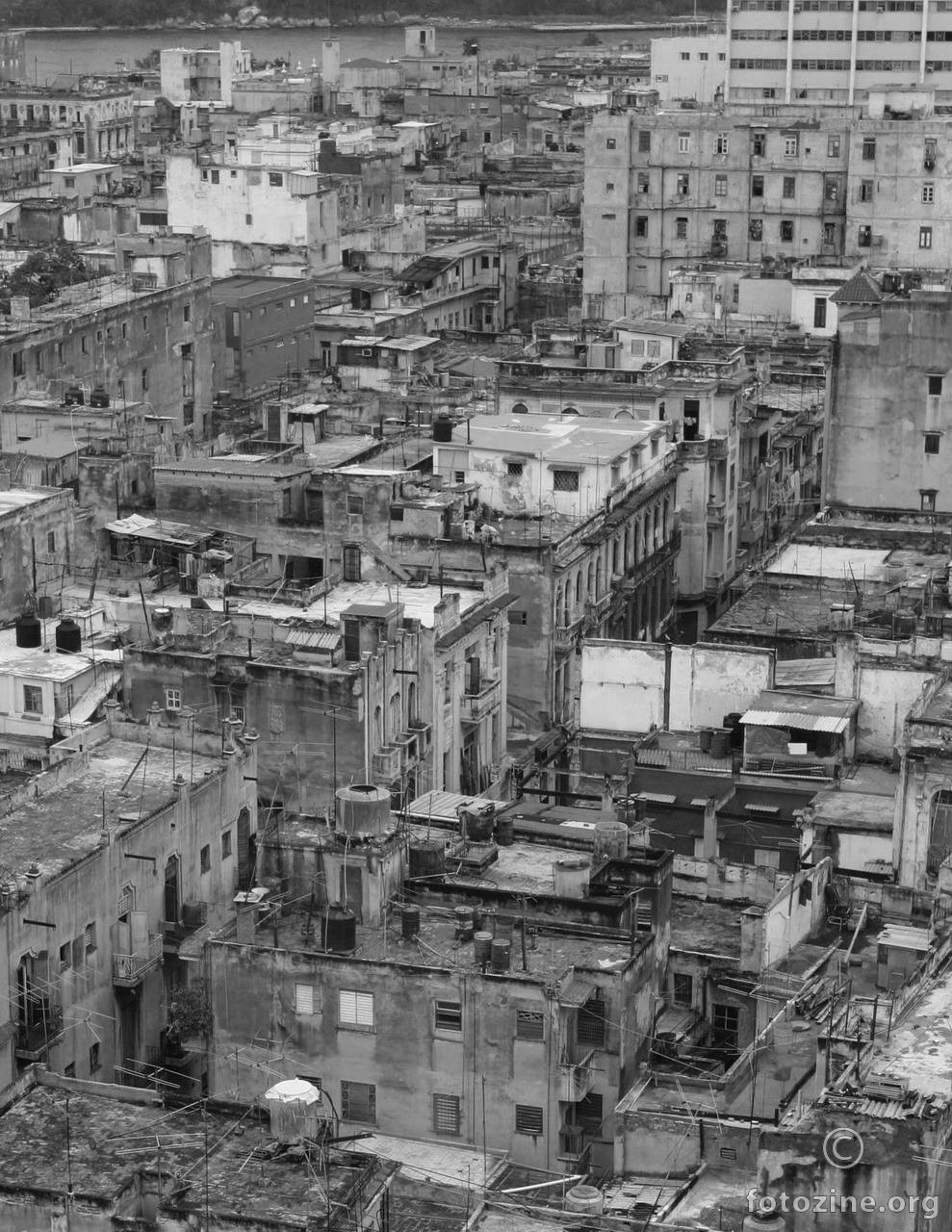 The Real Havana