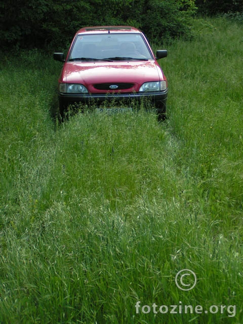 Ford u travi