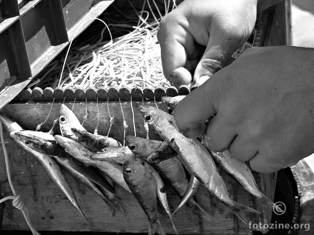 ruke ribara