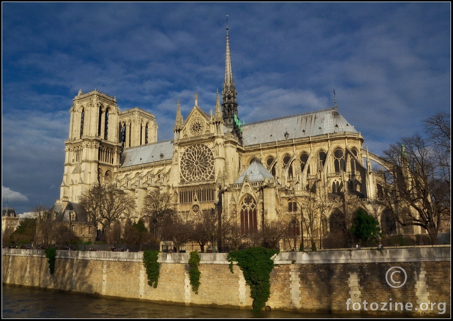 katedrala Notre-Dame
