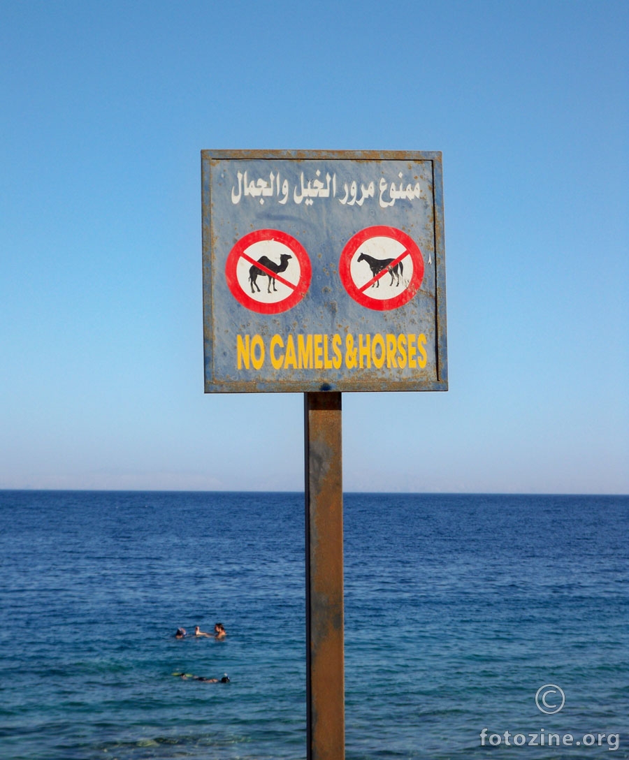 zabrana