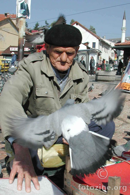 Osman sa golubovima