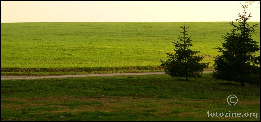 Green Serenity