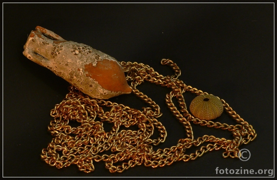 Bottom of the sea