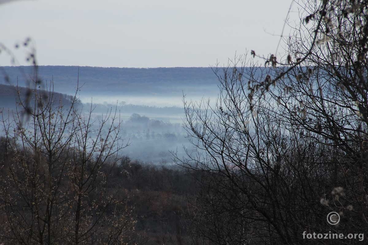 Magla u dolini