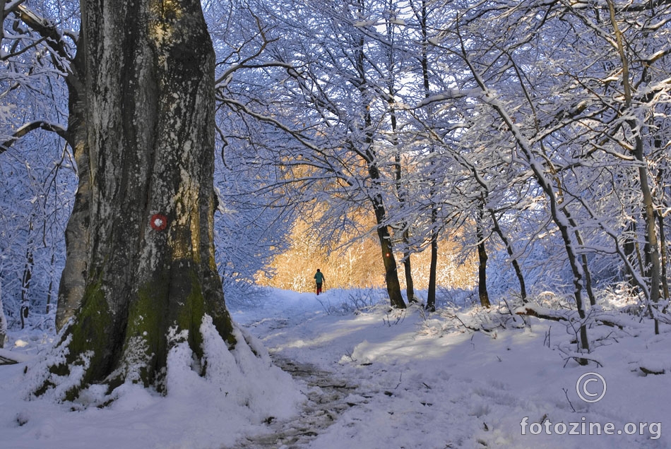 Zima na Japetiću