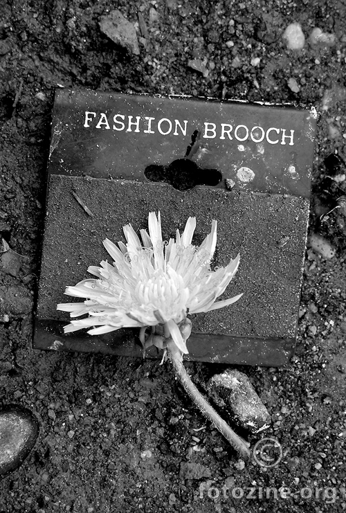 fashion brooch