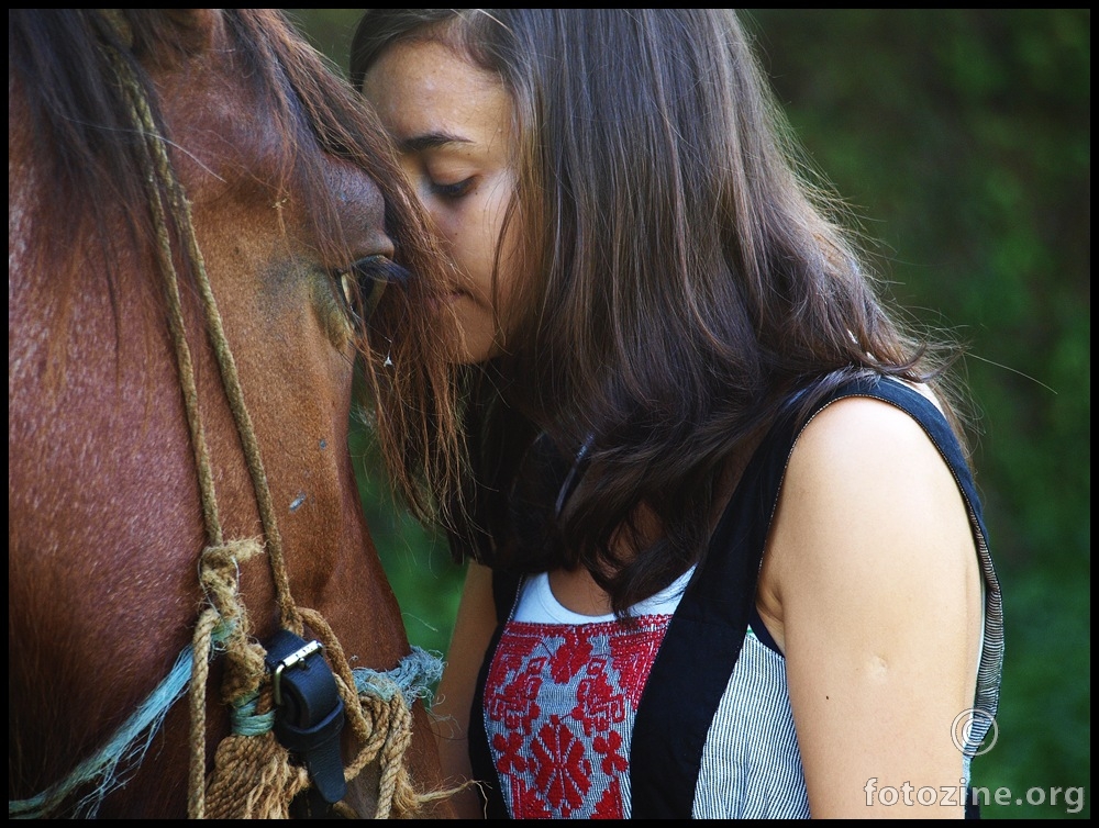 Konju volim te
