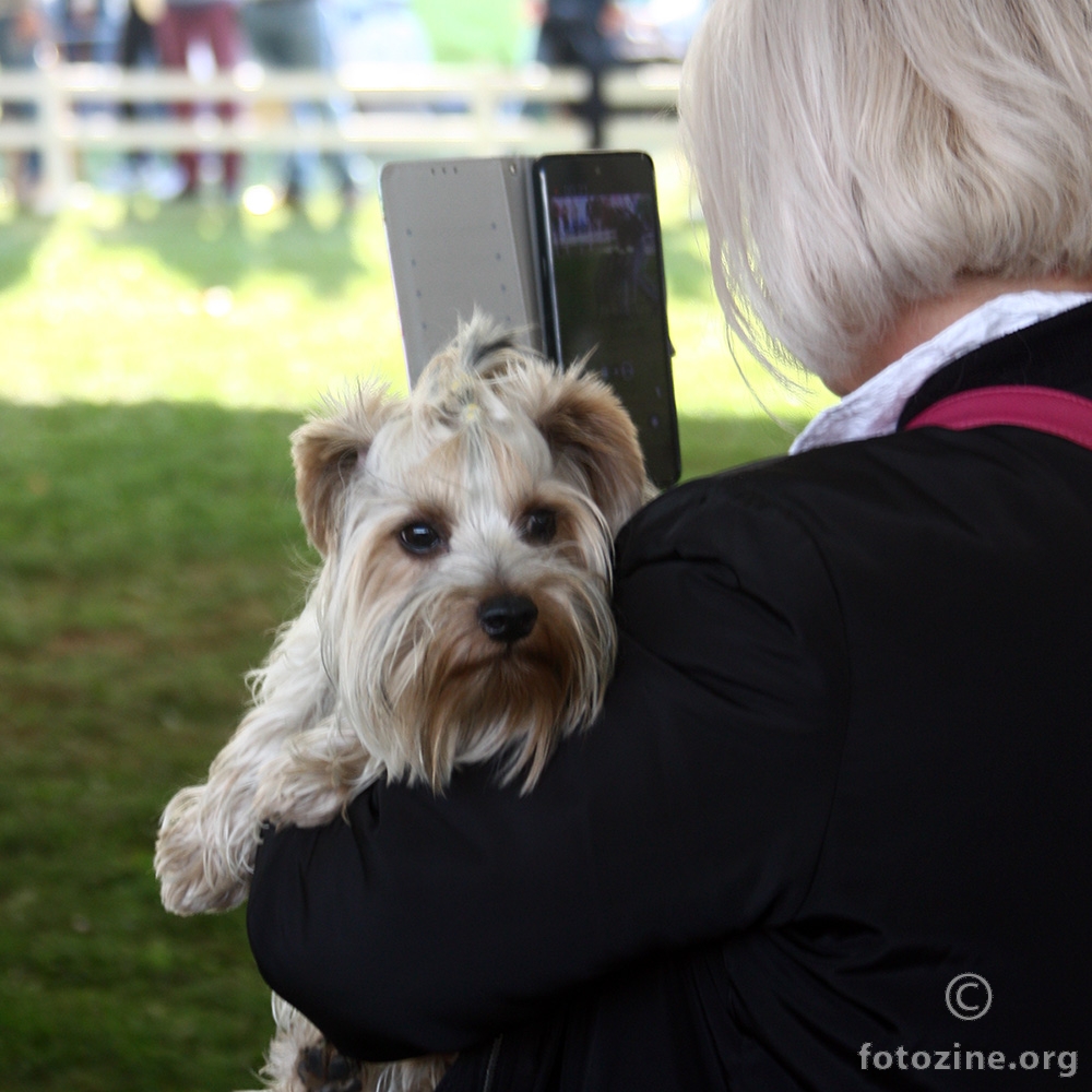 Cacib_KARLOVAC_2021-7