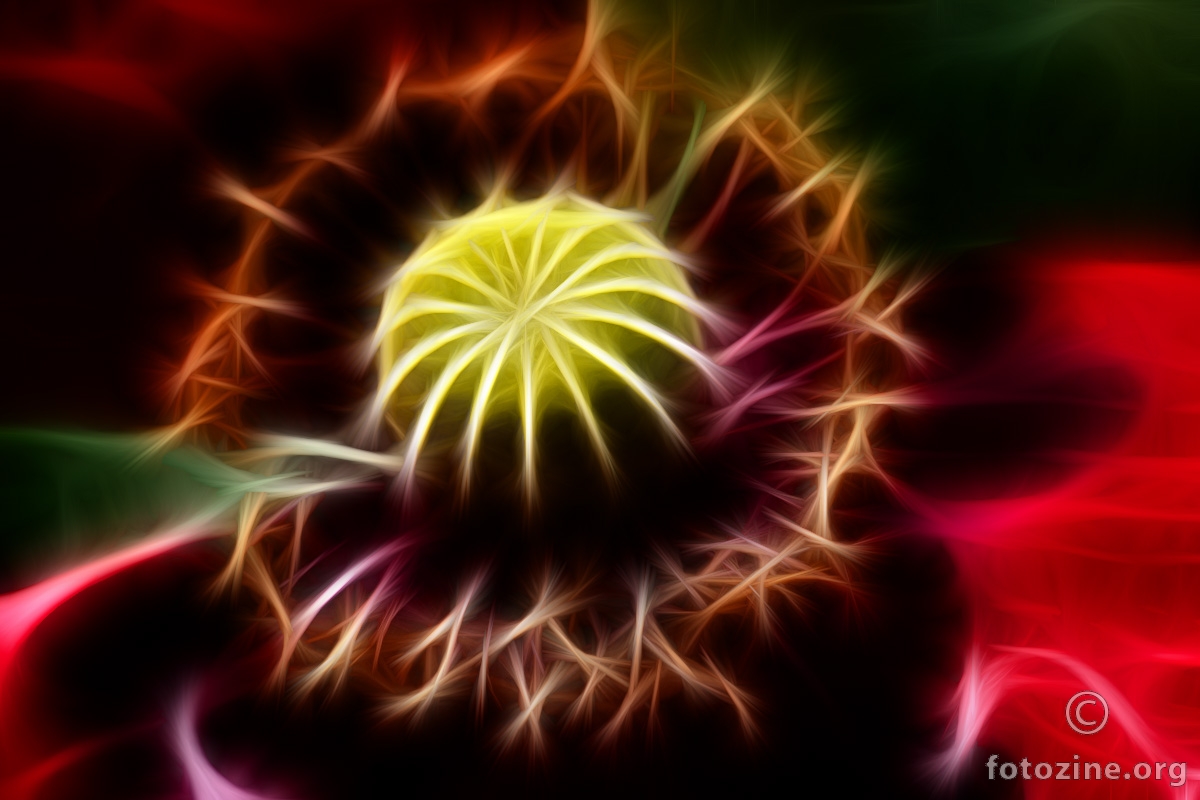 Fraktalni Cvijet IV