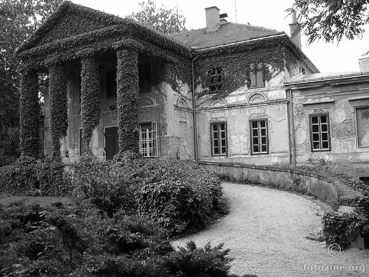 Old house - old photo