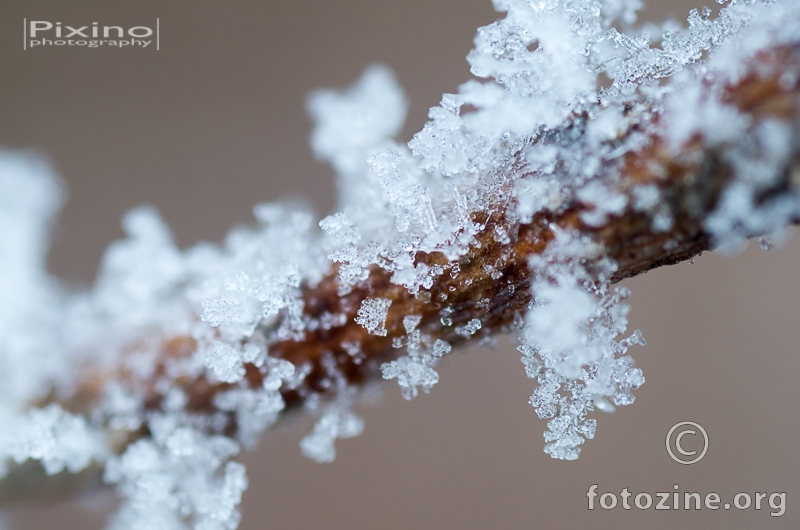 Art of frost