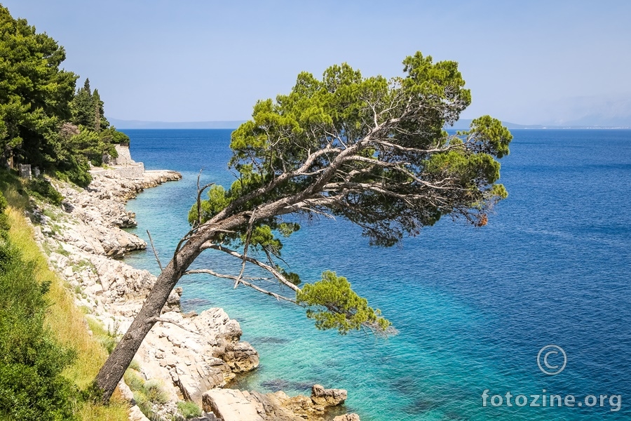 miris mora i bora