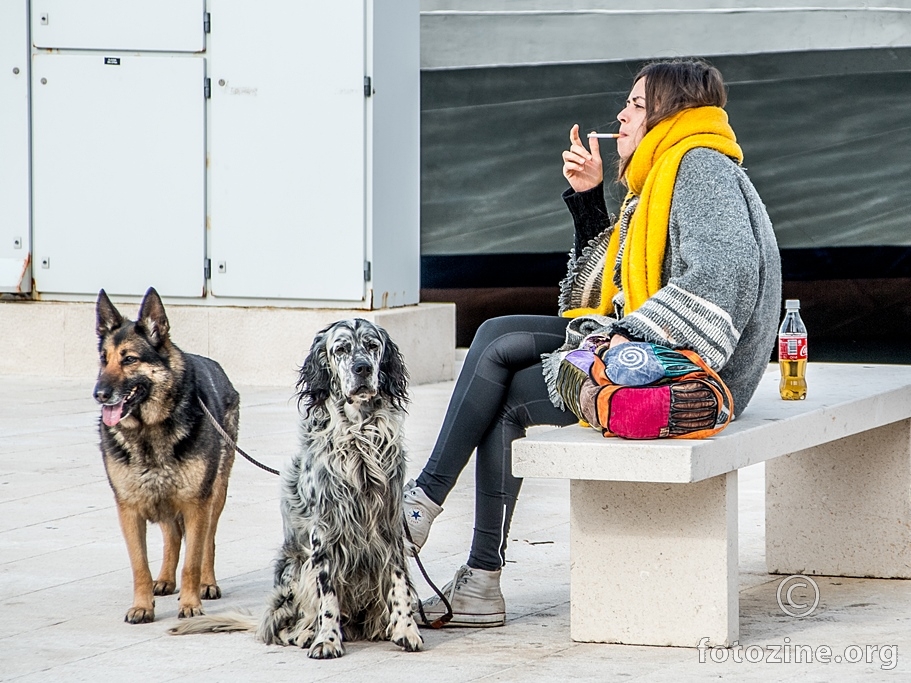 coca-cola koja to nije,dva psa i cigareta