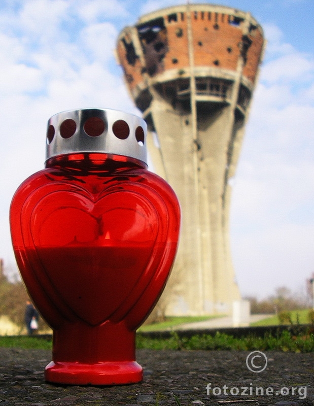 Vukovar 2010.