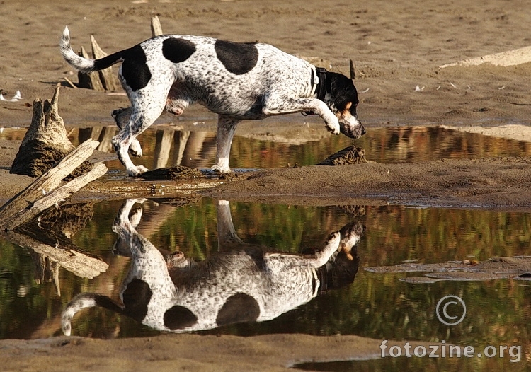 bowika u refleksiji ;)
