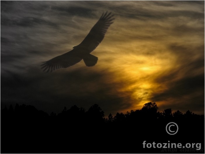 Götterdämmerung