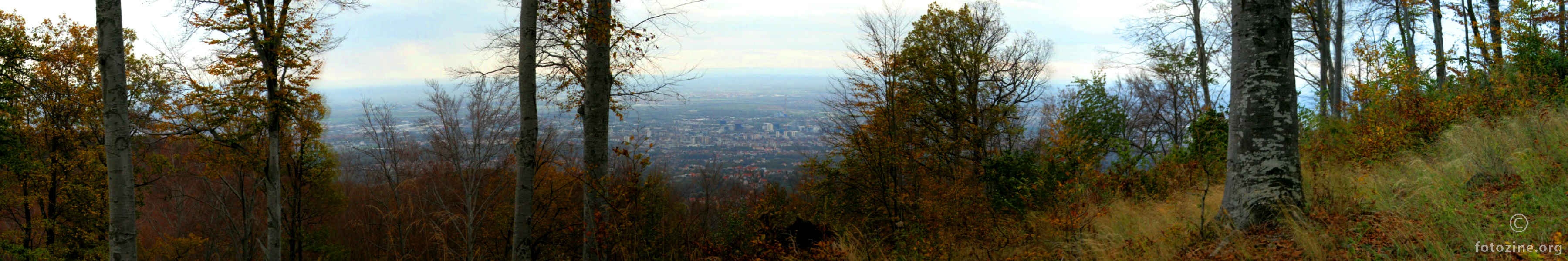 Sa šumske šetnje