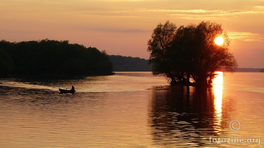 Dunav tone u san