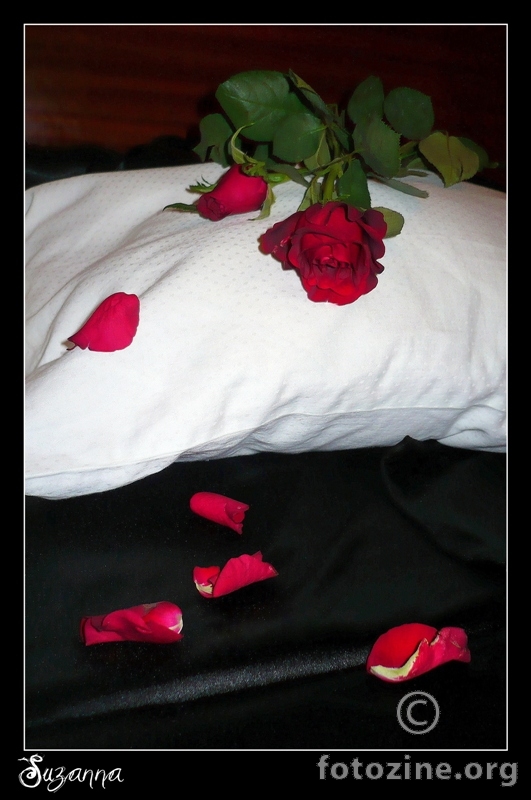 Bed Of Roses...
