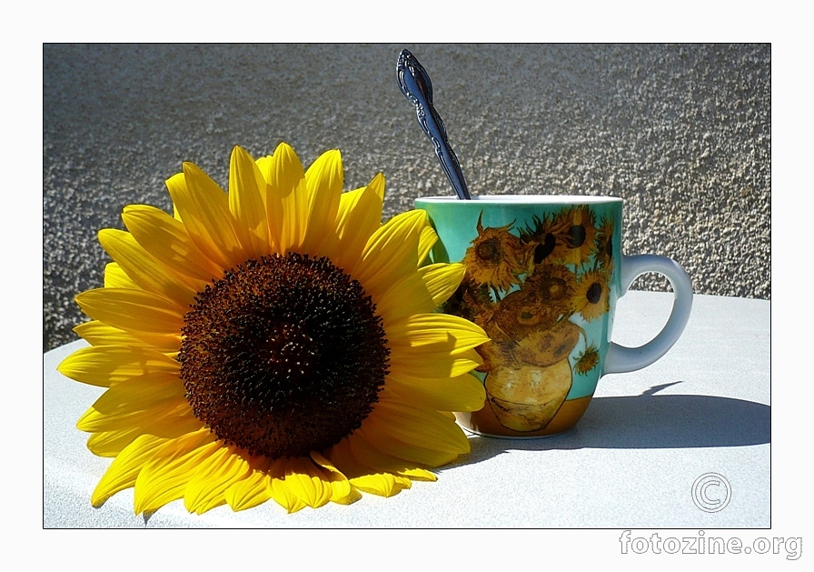Na kavi s Van Goghom...