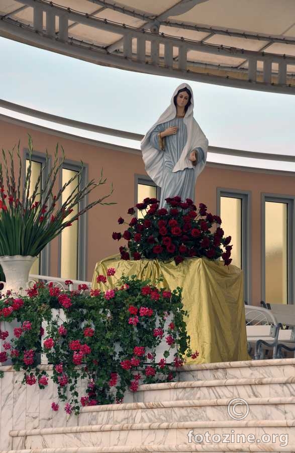 foto br. 289538