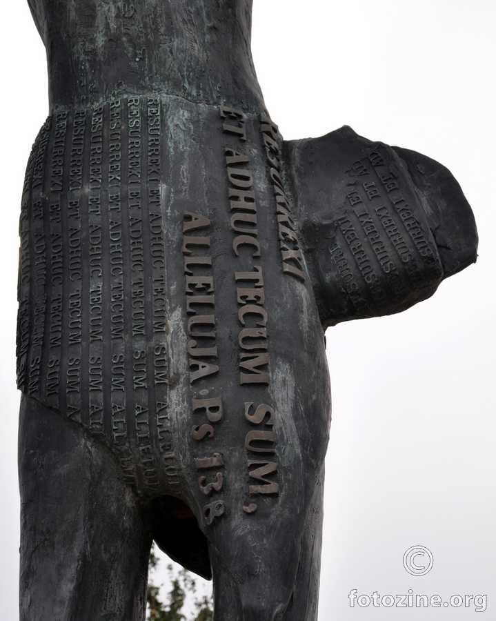 foto br. 289528