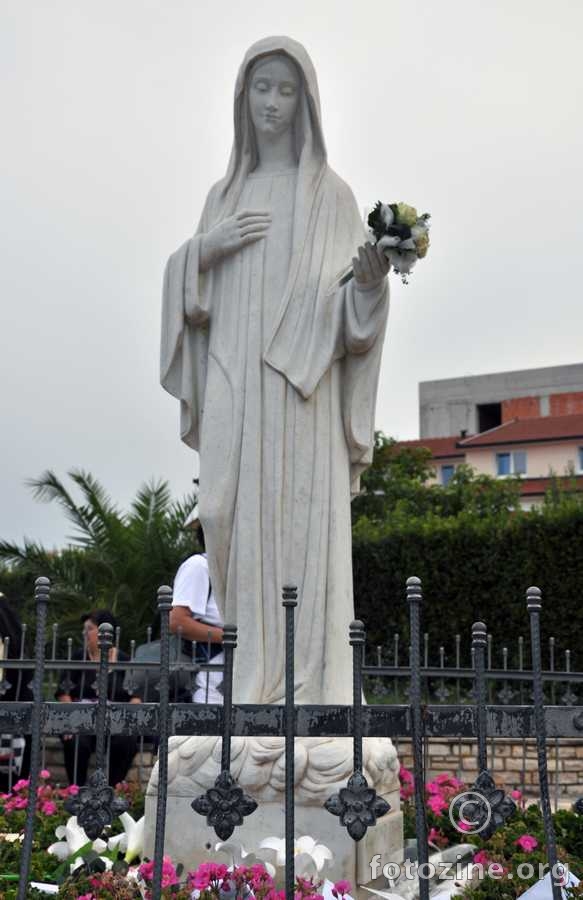foto br. 289560