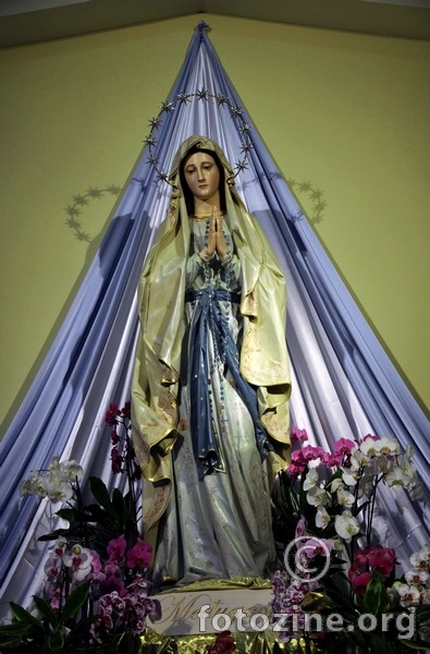 foto br. 301646