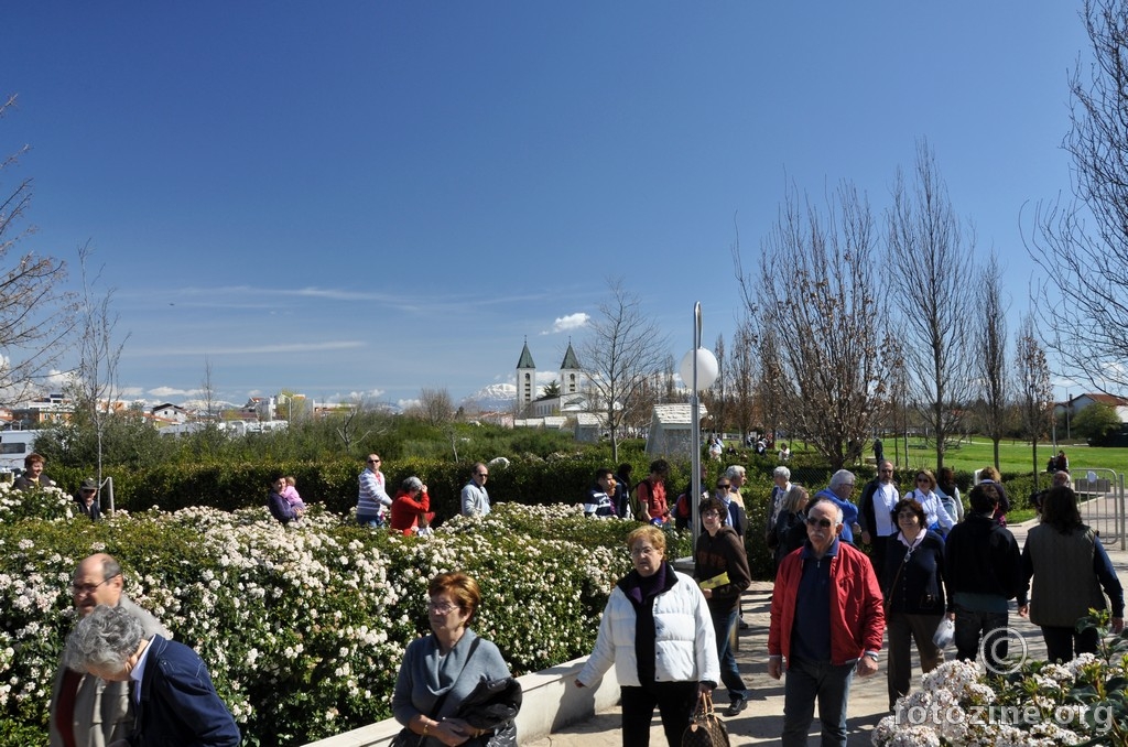 foto br. 343466