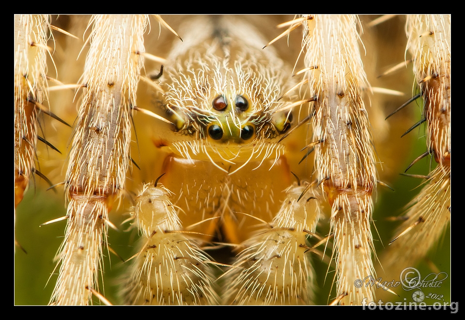 Up close and personal!!!