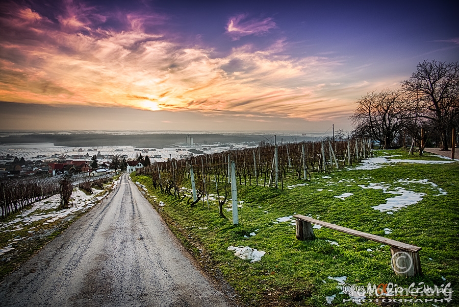 Zimski zalazak nad moslavačkim vinogradima