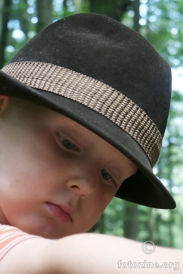 U šumi